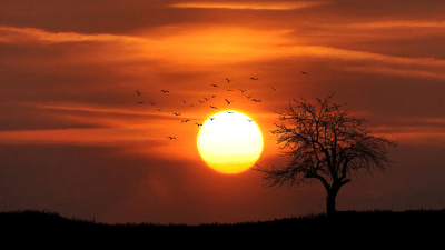 אני עובדת by eti bluman - Illustrated by אתי - Ourboox.com