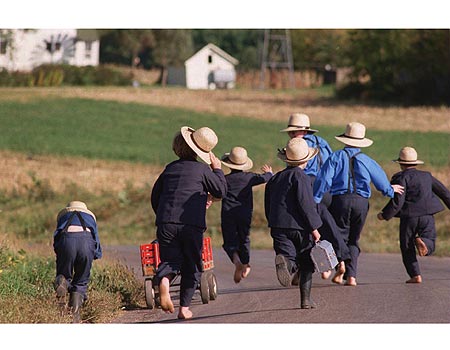 The life of Amish by aviya - Ourboox.com
