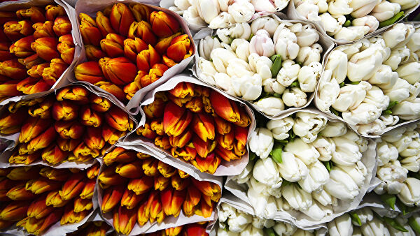 8th of march by Apollinariya - Illustrated by Bilous - Ourboox.com