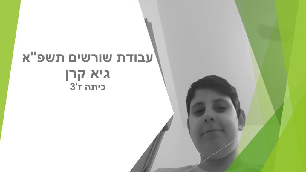 עבודת השורשים של גיא by GUY - Ourboox.com