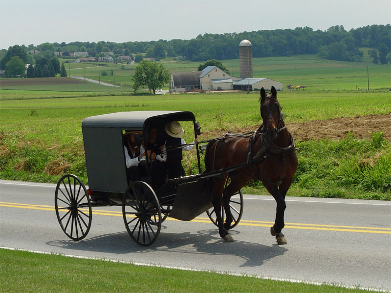The Amish way of life by maayan shunim - Ourboox.com