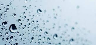 NEMİN HAYATIMIZDAKİ YERİ by Çınar Akkaya - Ourboox.com