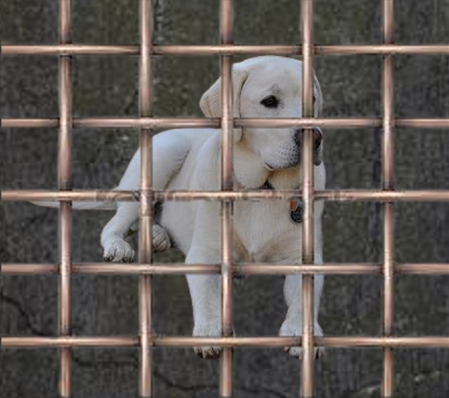 Maya by stav - Illustrated by Liem and Stav - Ourboox.com