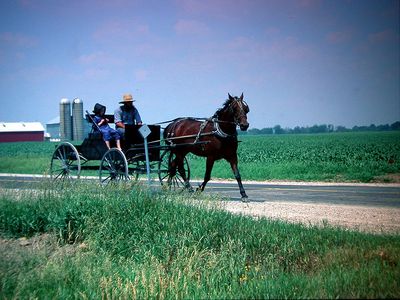 The Amish by Tal Tropper - Illustrated by Carmel and Tal - Ourboox.com