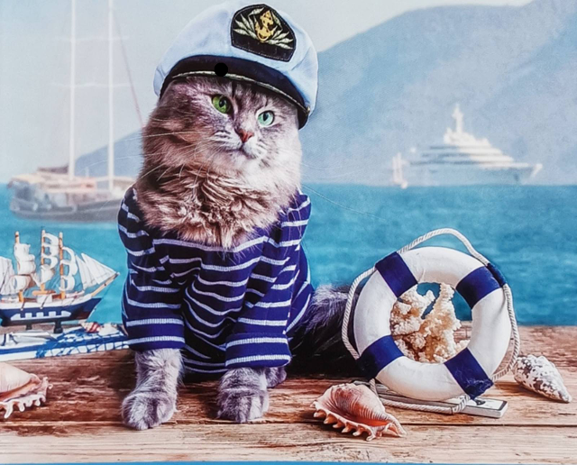 Котики-Муркотики by Kristina Honchar - Illustrated by Крістіни Гончар - Ourboox.com