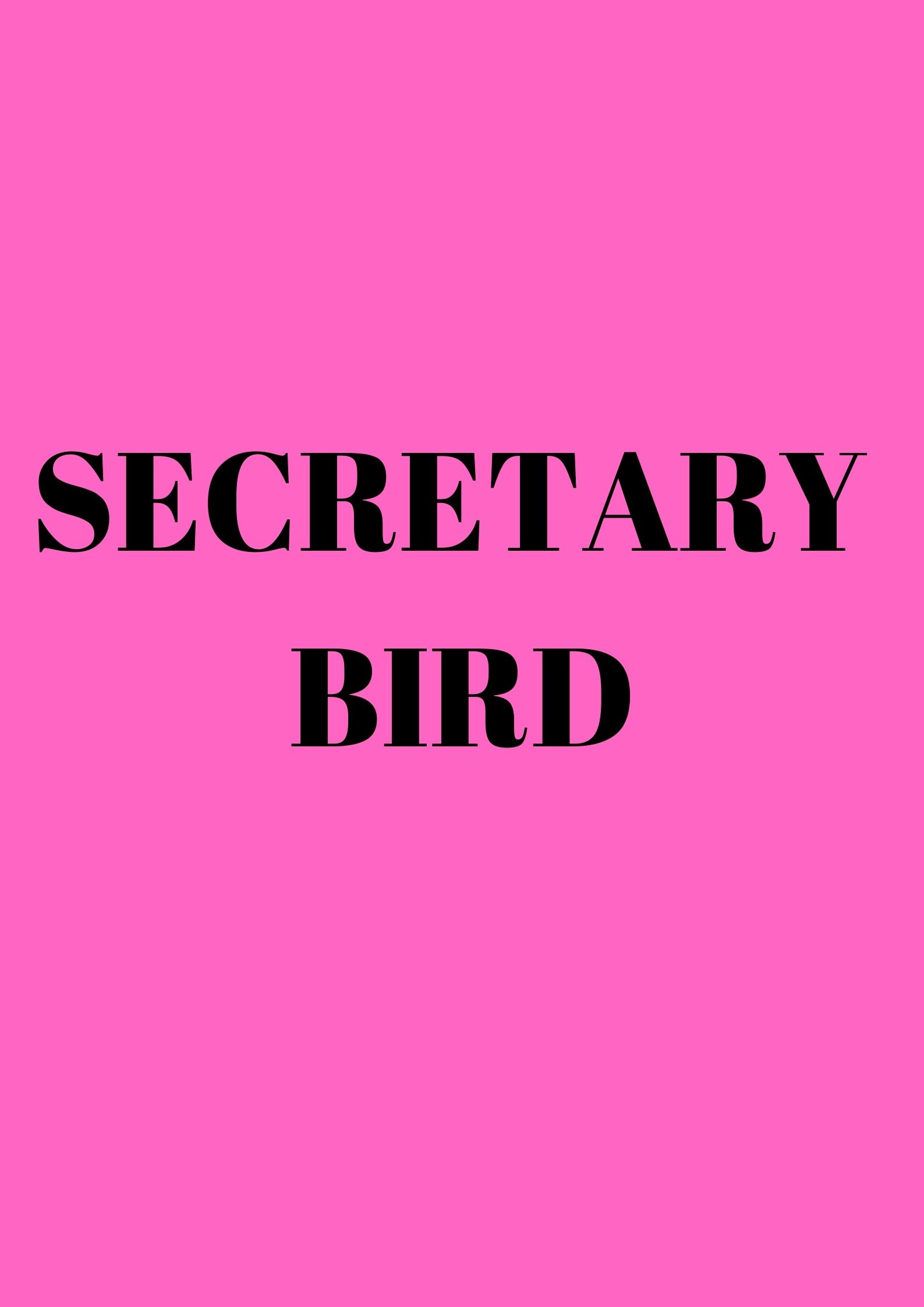 WILD ANIMALS (WORLD WILD LIFE DAY MARCH 3) by Dilek  - Ourboox.com