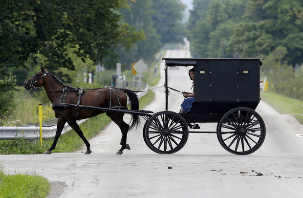 The amish way of life by lihi davidi - Ourboox.com