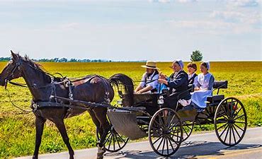 The Amish:) by Michal Cohen - Ourboox.com