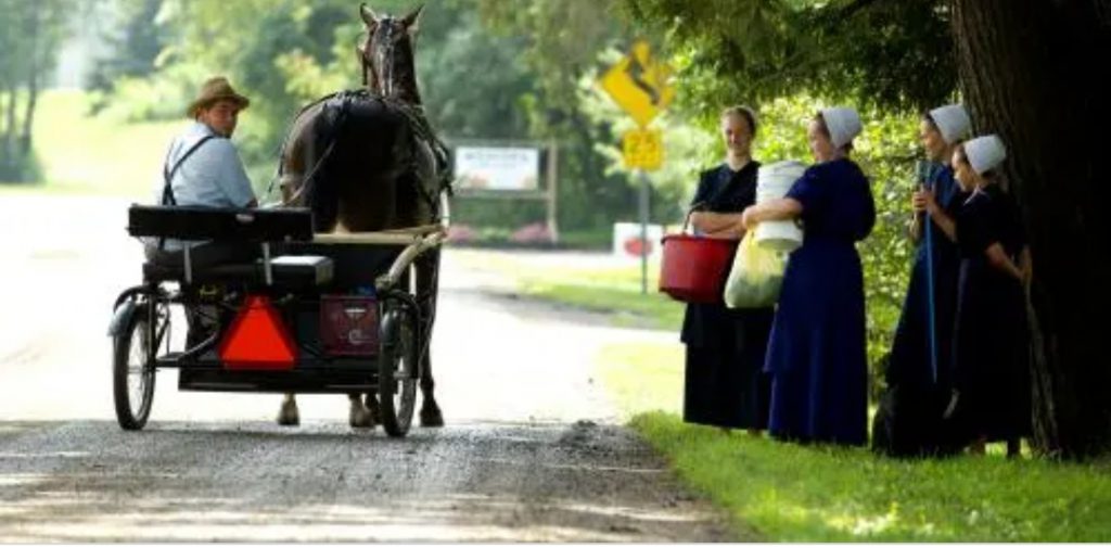 The Amish by tahel y - Illustrated by Tahel y and Hila s - Ourboox.com