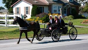 The life of Amish by aviya - Ourboox.com