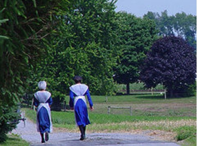 The Amish by tahel y - Illustrated by Tahel y and Hila s - Ourboox.com