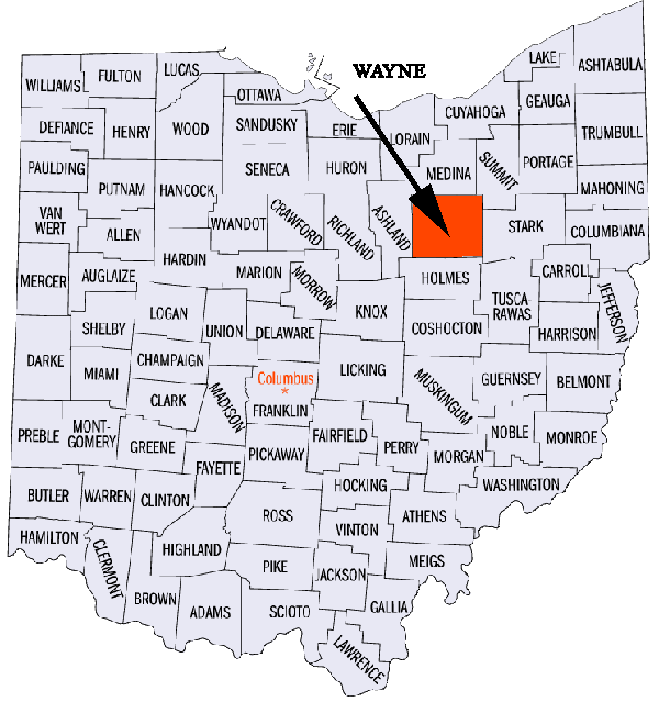 the amish by Ariela Chen - Ourboox.com