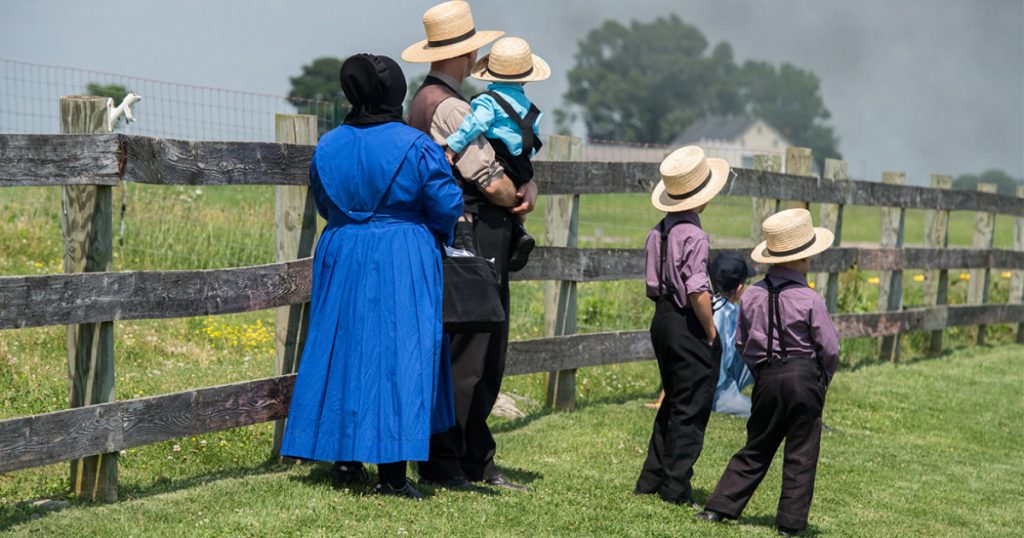 the amish by Ariela Chen - Ourboox.com