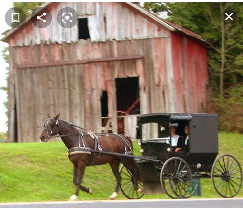 the amish Alona and Ori by ori blonder - Ourboox.com