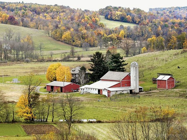 The life of Amish by aviya - Ourboox.com