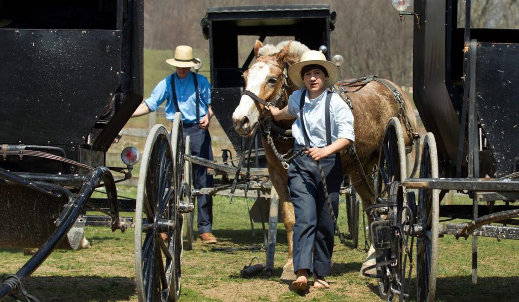 THE AMISH by YAHEL BEN ZION - Illustrated by yahel ben zion,hodaya gabay and yael wertheim - Ourboox.com
