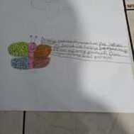 OKUYORUM,DİNLİYORUM,RESMİNİ YAPIYORUM by bahadır - Ourboox.com