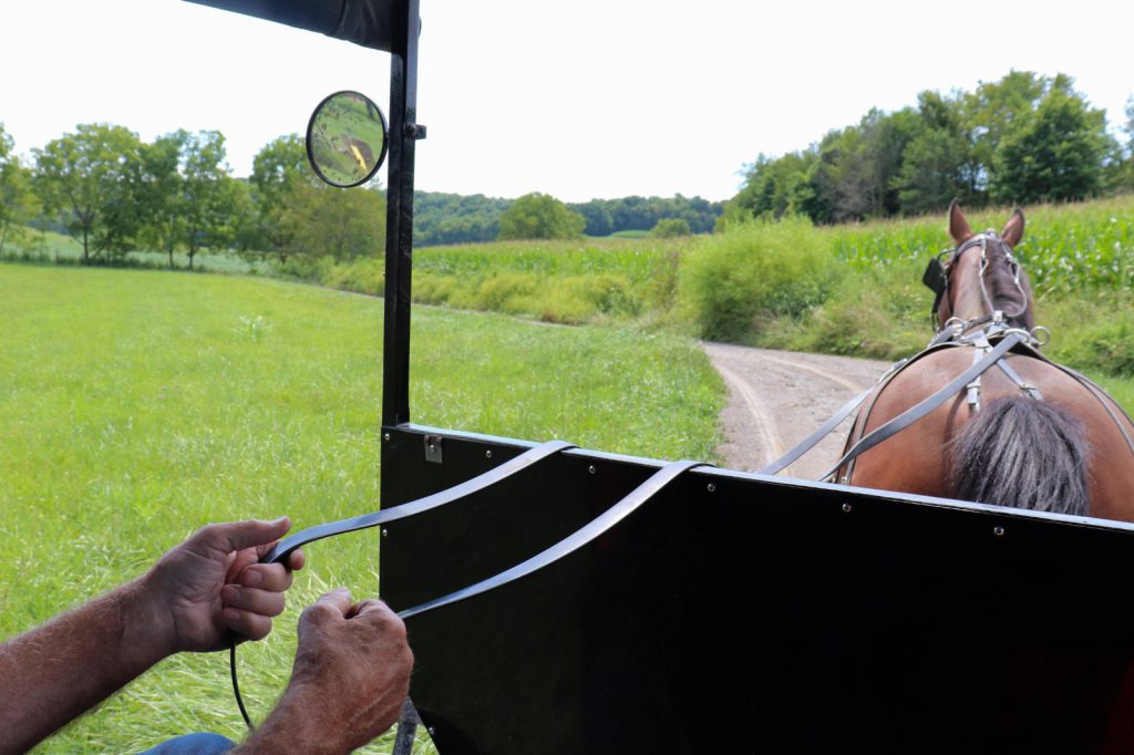 Amish-orlev and maayan by Maayan feldman - Ourboox.com