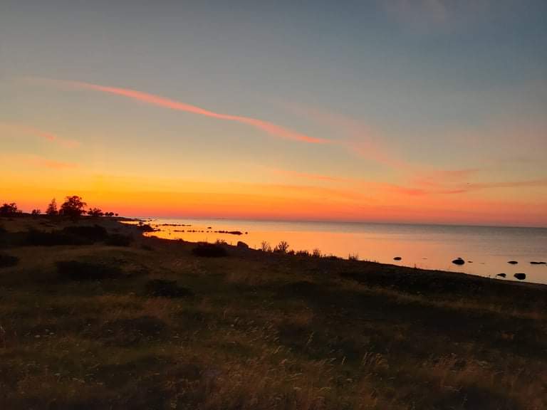 Minu pere ja kodu lood by cristofer Arro - Ourboox.com