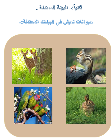 الاجواء الطبيعي في حياتنا by kawkabbsharat - Illustrated by كوكب جلال بشارات - Ourboox.com