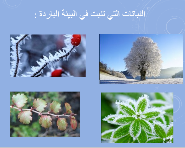 الاجواء الطبيعي في حياتنا by kawkabbsharat - Illustrated by كوكب جلال بشارات - Ourboox.com