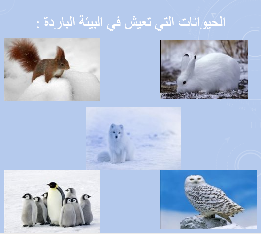 الاجواء الطبيعي في حياتنا by kawkabbsharat - Illustrated by كوكب جلال بشارات - Ourboox.com