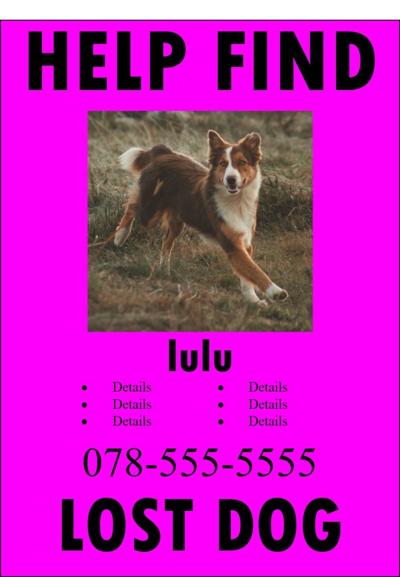 The lost pet by tammy - Ourboox.com