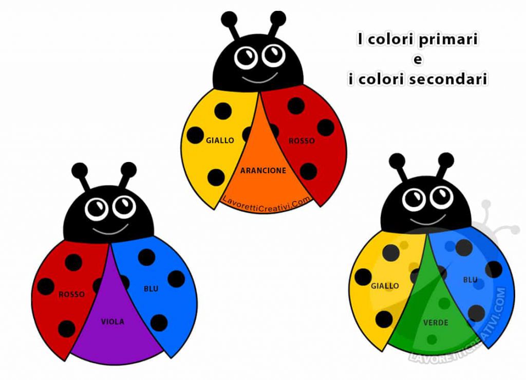 I COLORI by nora - Ourboox.com