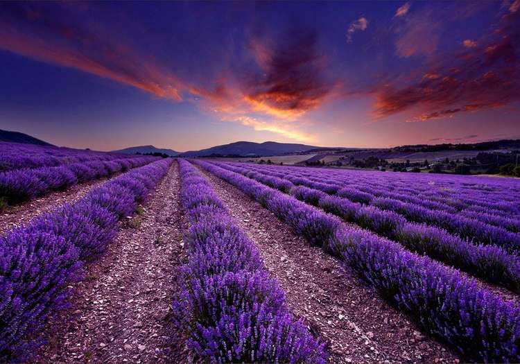 melek by BEKİR ERCAN DOĞAN - Ourboox.com