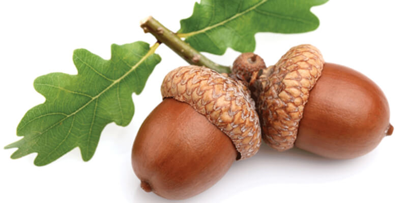 الولايات المتحدة الامريكية by TASNEEM ABD ELQADER - Ourboox.com