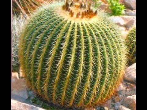 الولايات المتحدة الامريكية by TASNEEM ABD ELQADER - Ourboox.com