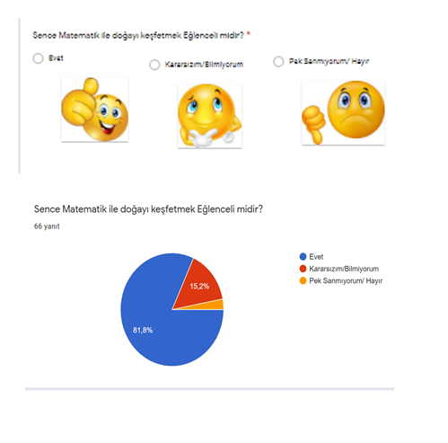 Matematik Benim Doğamda Var Öğrenci Ön Anketi by Firdevs AĞAOĞLU - Illustrated by Matematik Benim Doğamda Var - Ourboox.com