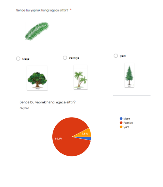 Matematik Benim Doğamda Var Öğrenci Ön Anketi by Firdevs AĞAOĞLU - Illustrated by Matematik Benim Doğamda Var - Ourboox.com