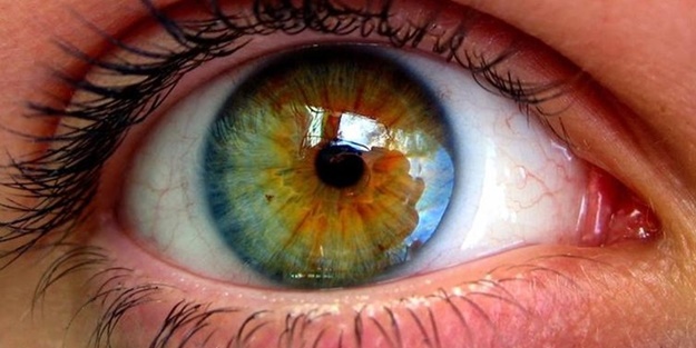 MUSTAFA’S BOOK by MUHAMMED MUSTAFA COŞKUN - Ourboox.com