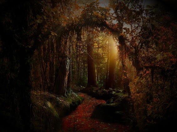 IL DECALOGO DEL CORRETTO UTILIZZO DEL WEB by maria bonaria corda - Ourboox.com