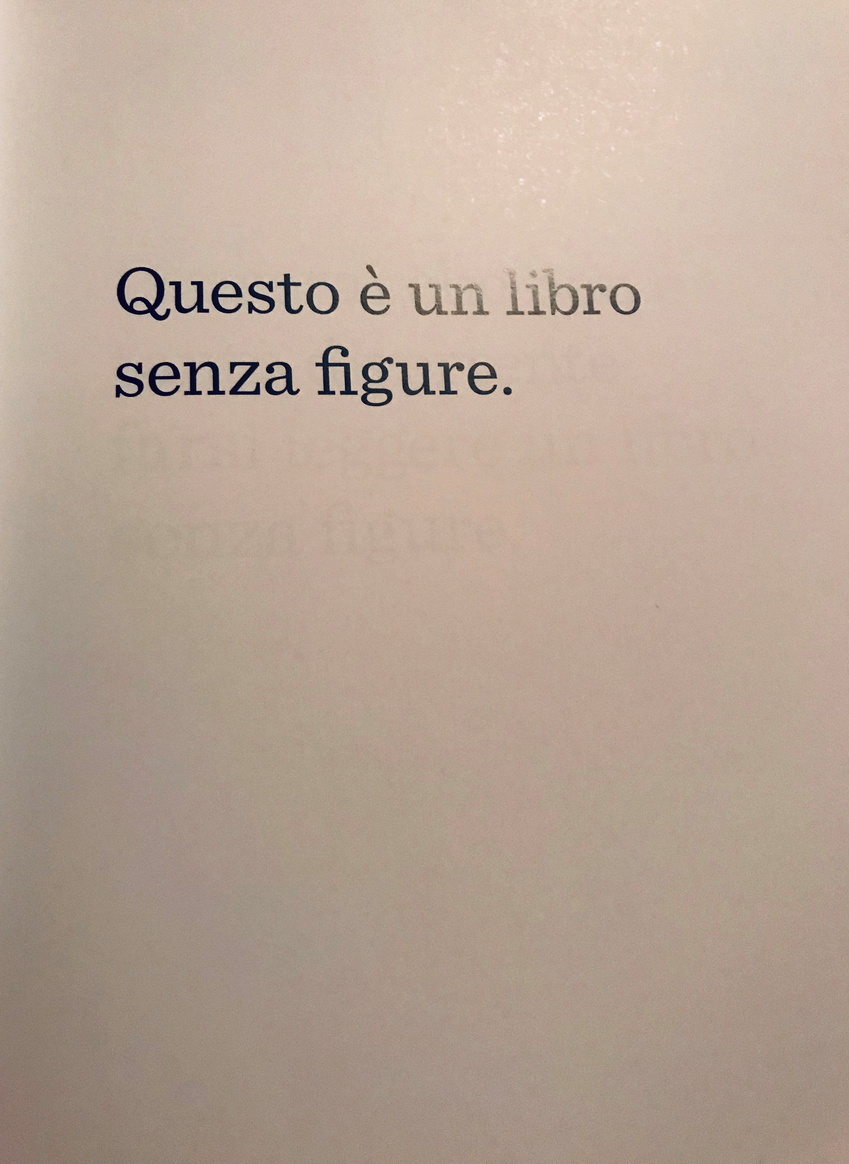IL LIBRO SENZA FIGURE by Stefania Viviani - Ourboox.com