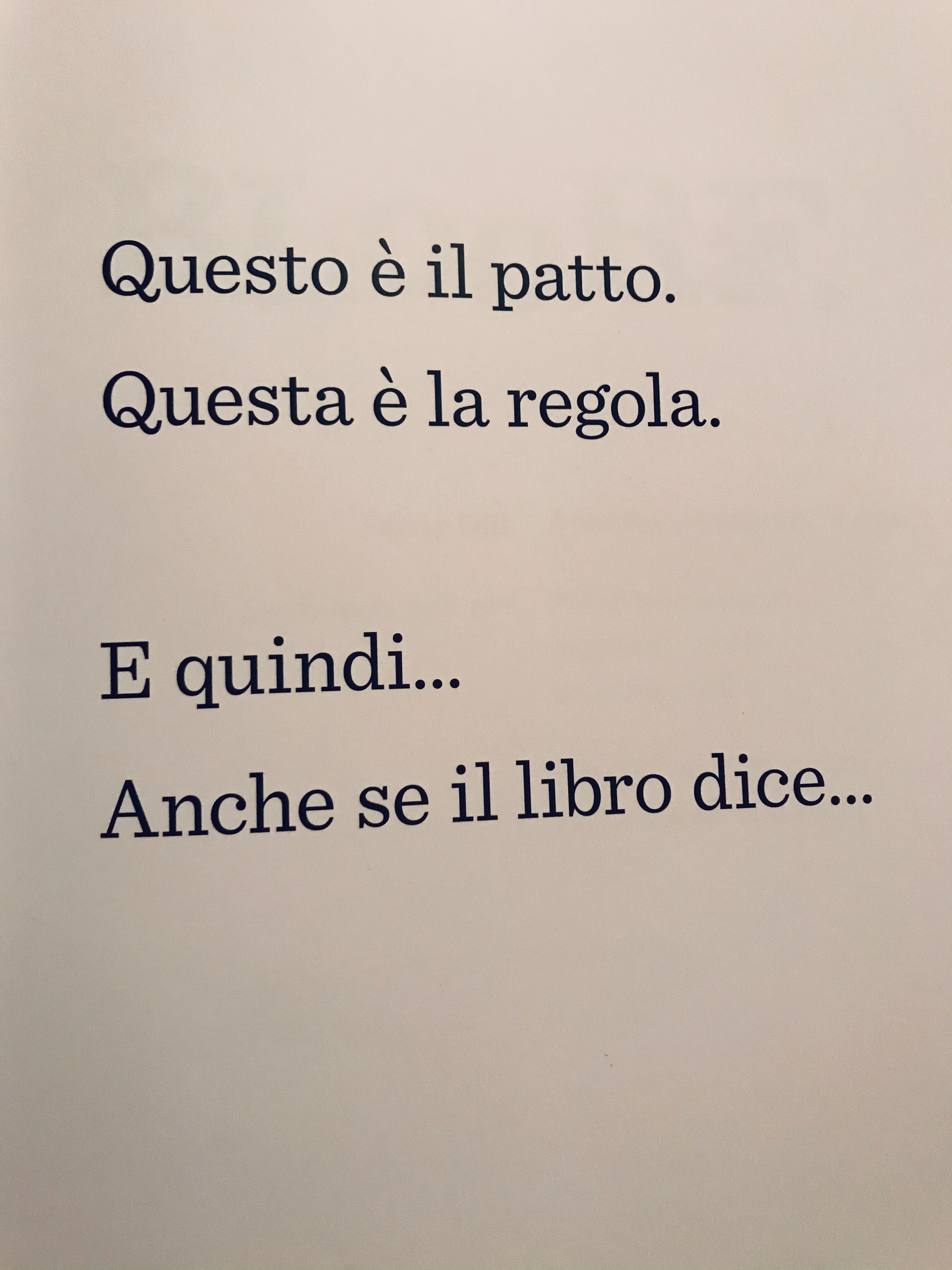 IL LIBRO SENZA FIGURE by Stefania Viviani - Ourboox.com