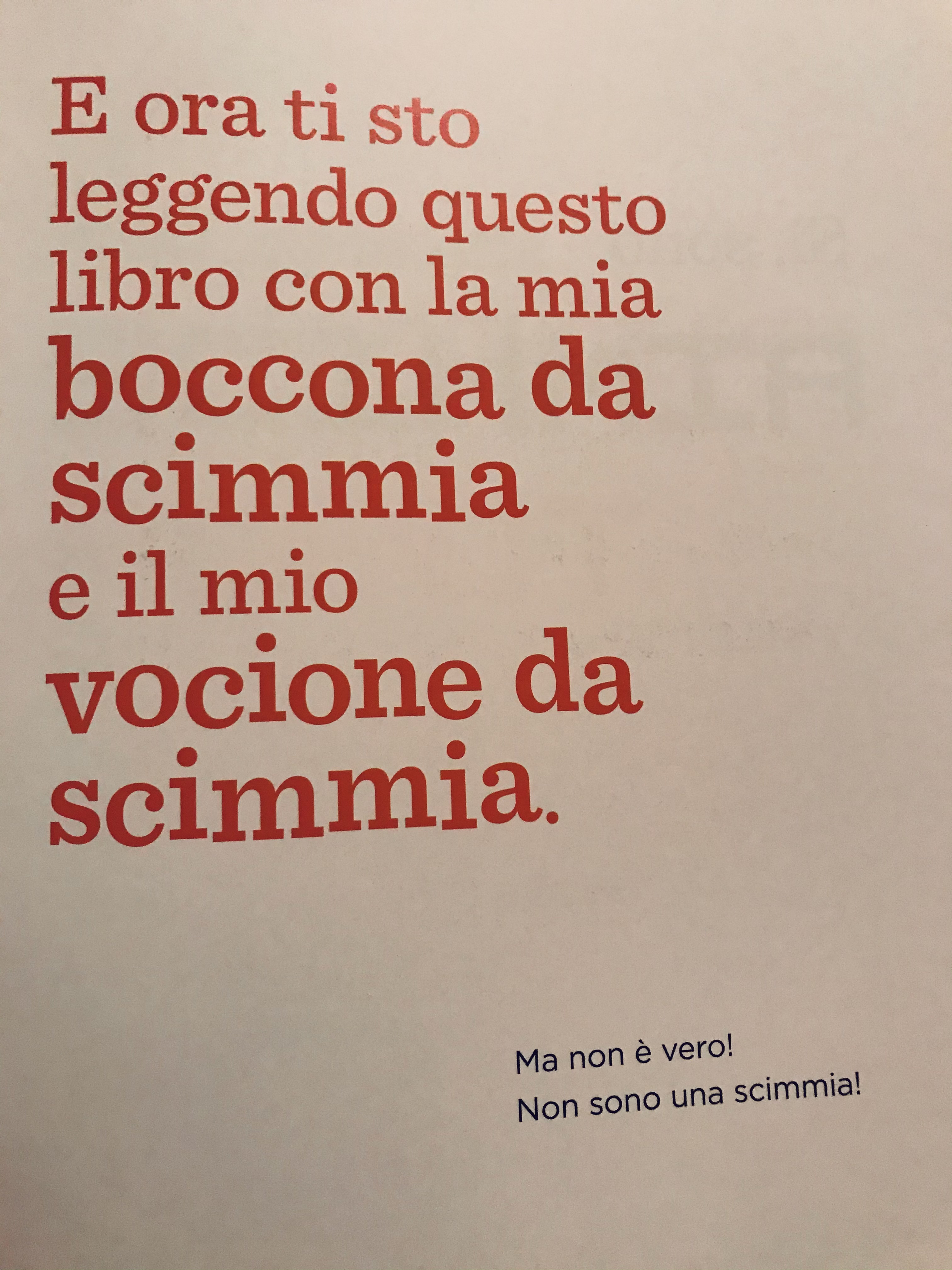 IL LIBRO SENZA FIGURE by Stefania Viviani - Ourboox.com