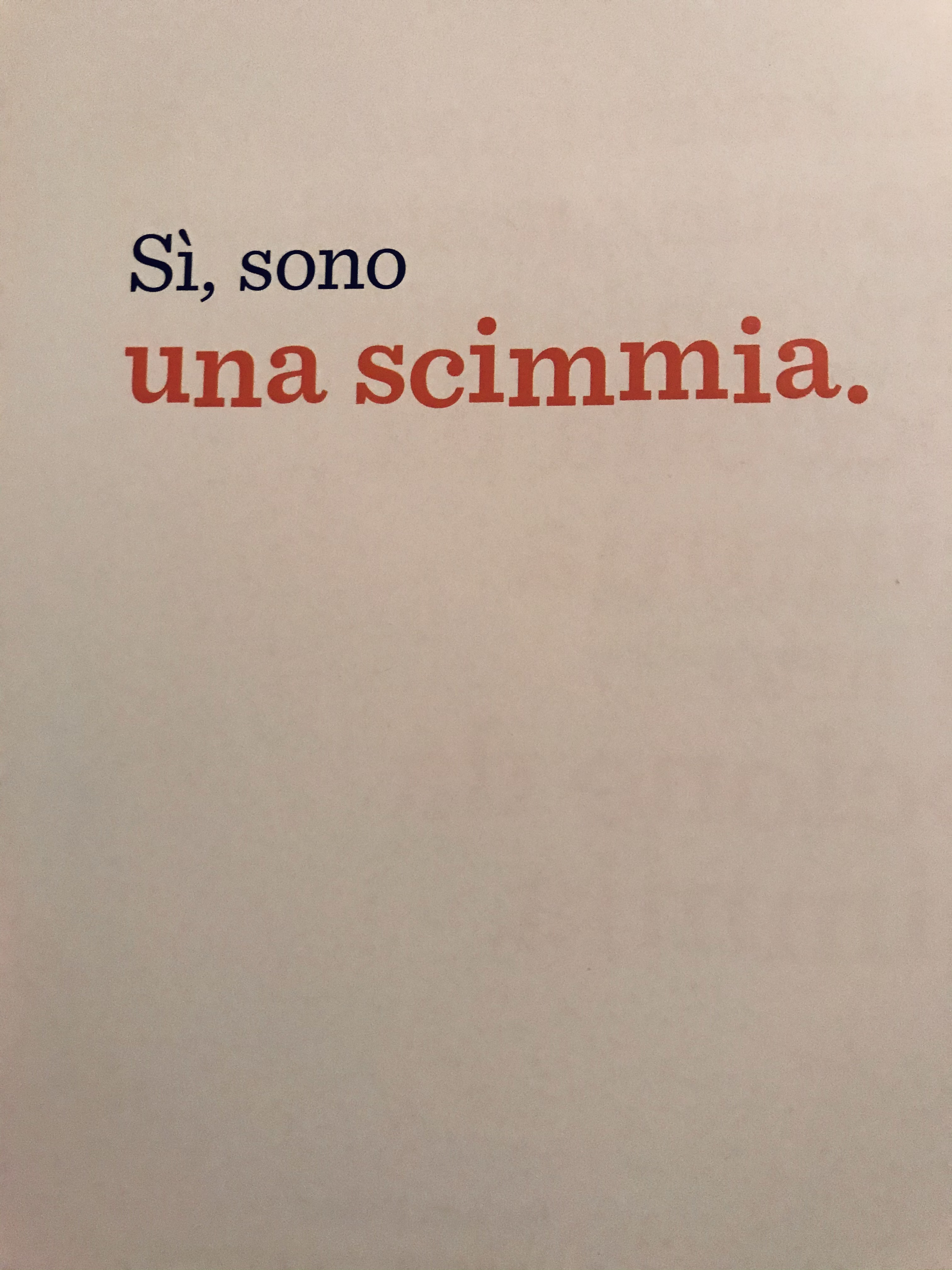 IL LIBRO SENZA FIGURE by Stefania Viviani - Ourboox.com