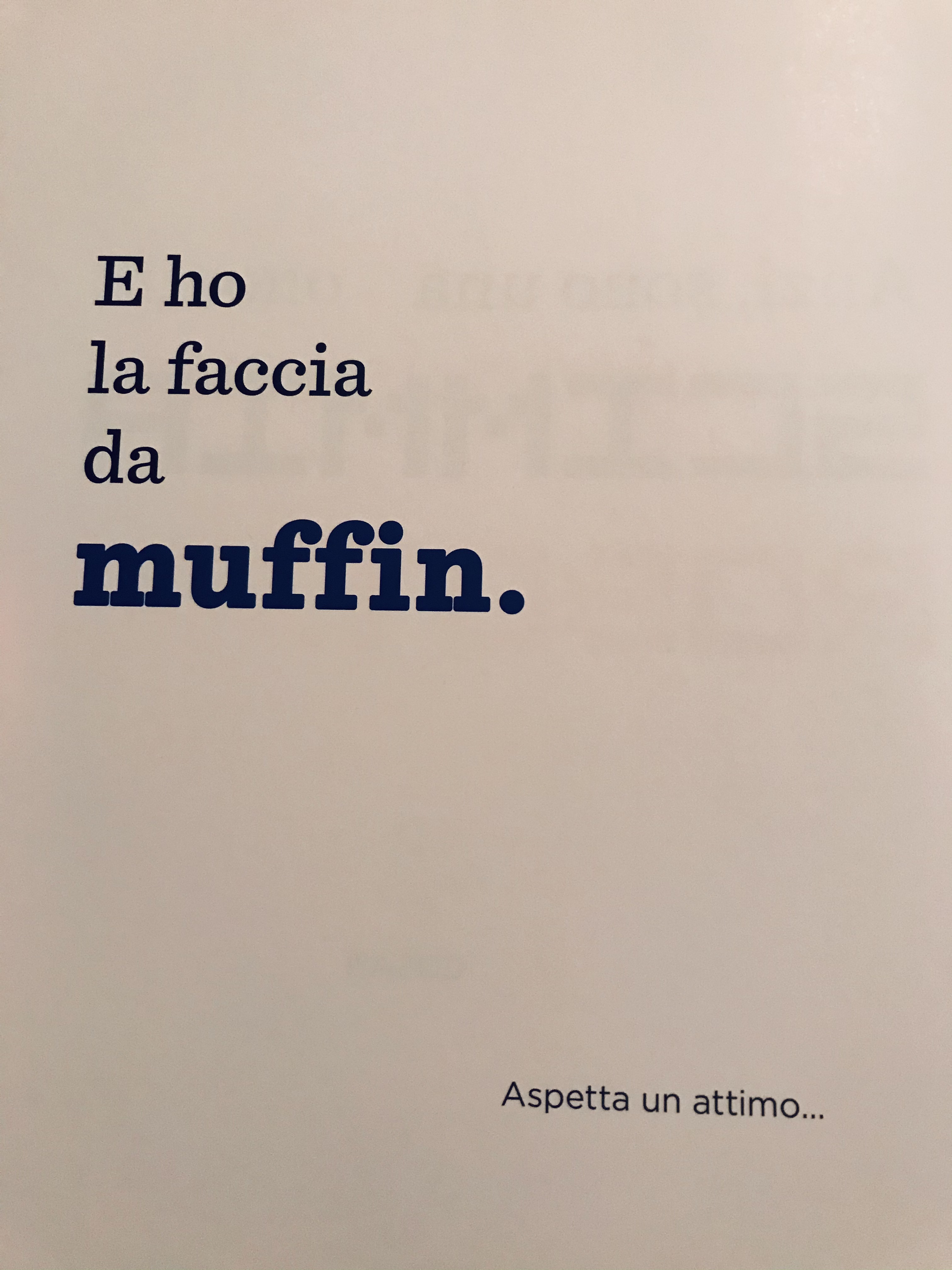 IL LIBRO SENZA FIGURE by Stefania Viviani - Ourboox.com