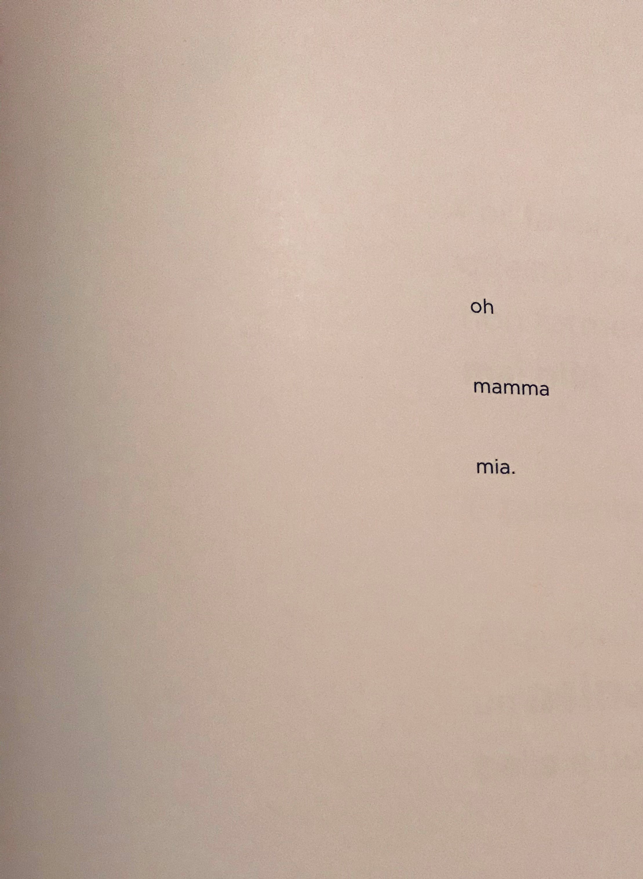 IL LIBRO SENZA FIGURE by Stefania Viviani - Ourboox.com