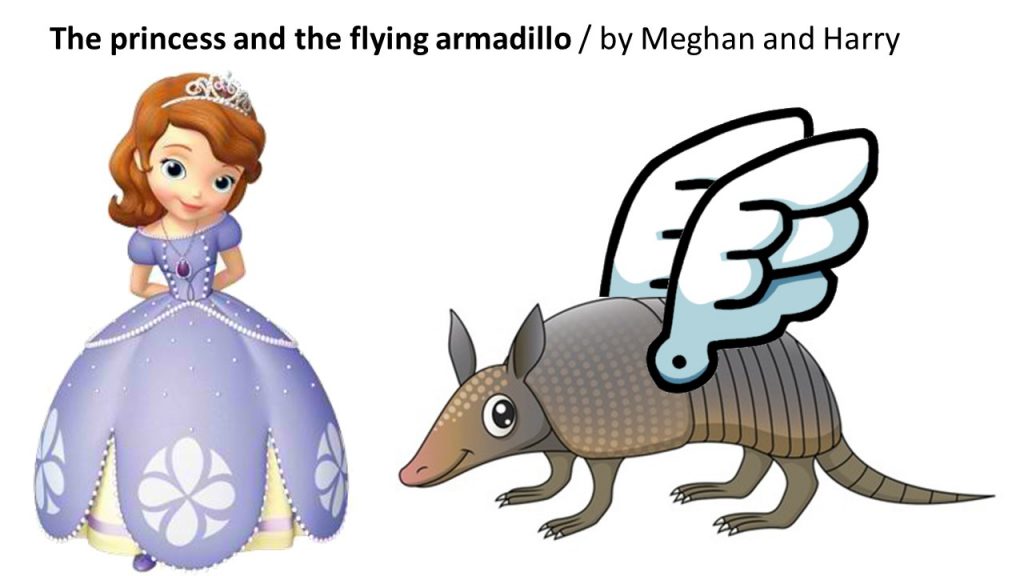 The Princess And The Flying Armadillo by Mor Nadler - Ourboox.com