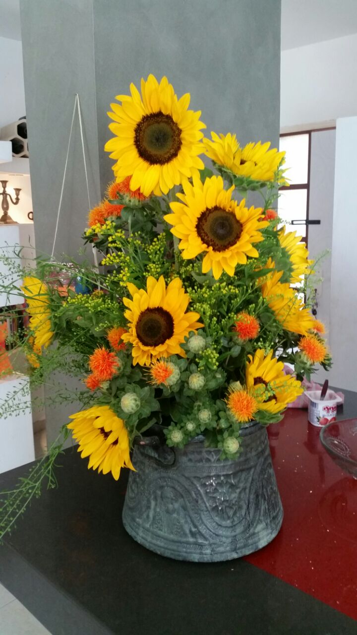 הספר הכי הכי !! גילי ,שושי ואפרת by Amir Starnes - Ourboox.com