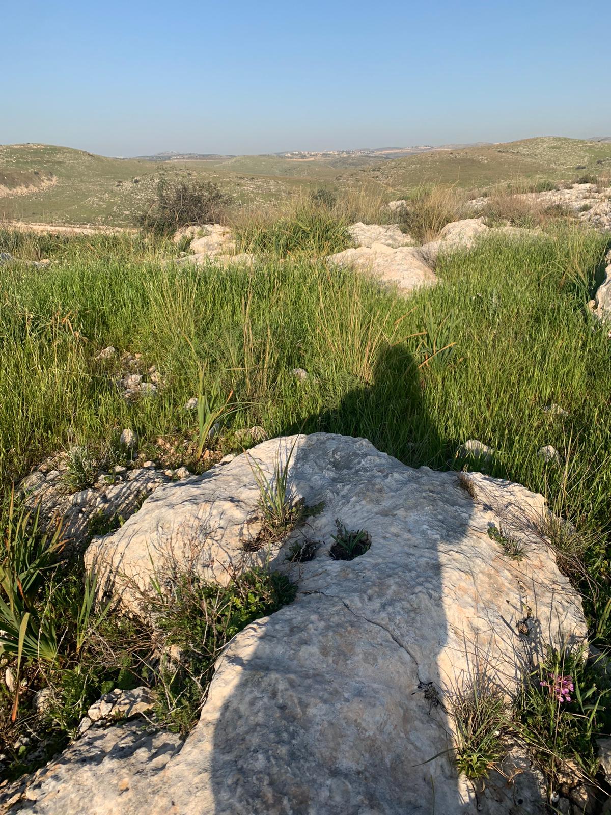 צילומי נוף by rina badir - Ourboox.com