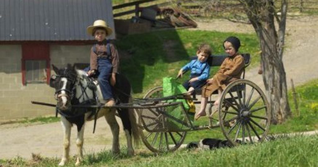 The Amish way of life by meshi zabari - Illustrated by Meshi and Adi - Ourboox.com