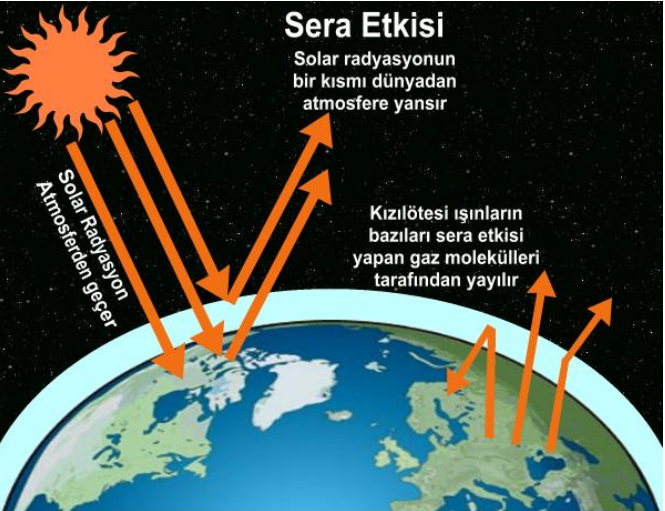Güncel Çevre İle İlgililer Nedenler by Ayşe Koçıbay - Illustrated by Ayşe Koçıbay  - Ourboox.com