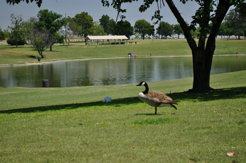 Basem magic book by basem atawna - Ourboox.com