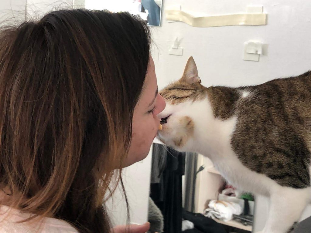 תוליל וזאתי by limor avraham - Ourboox.com