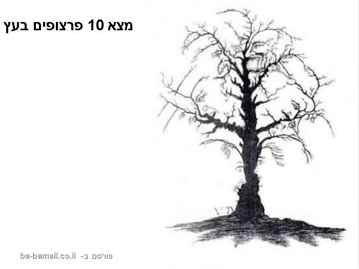 אשליה אופטית by esraa gadeer - Ourboox.com