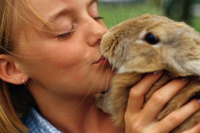 טיפול בעזרת בעלי חיים by arwa arabi - Ourboox.com